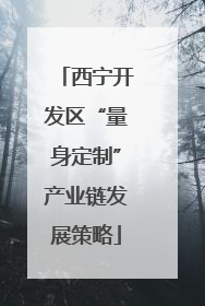 西宁开发区“量身定制”产业链发展策略