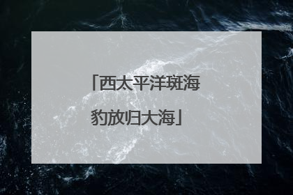 西太平洋斑海豹放归大海