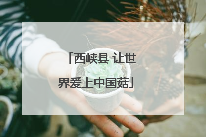 西峡县 让世界爱上中国菇