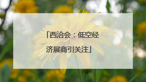 西洽会：低空经济展商引关注