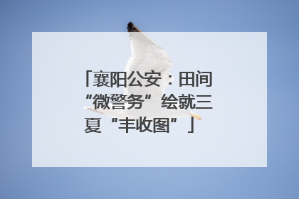 襄阳公安：田间“微警务”绘就三夏“丰收图”