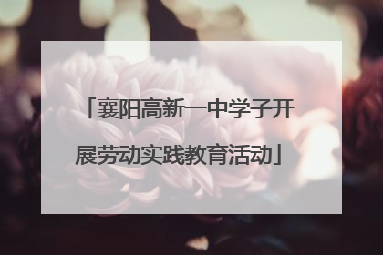 襄阳高新一中学子开展劳动实践教育活动