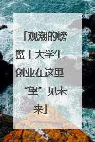 观潮的螃蟹丨大学生创业在这里“望”见未来
