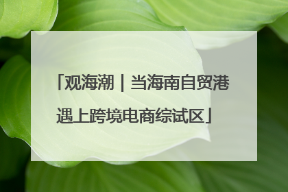 观海潮｜当海南自贸港遇上跨境电商综试区