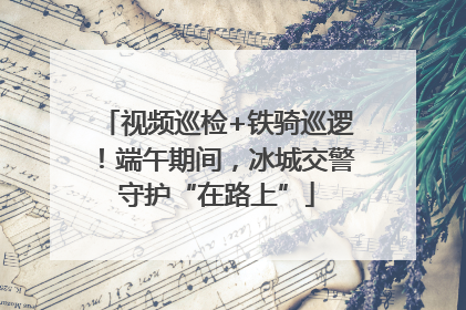 视频巡检+铁骑巡逻！端午期间，冰城交警守护“在路上”