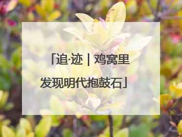 追·迹｜鸡窝里发现明代抱鼓石