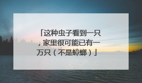这种虫子看到一只，家里很可能已有一万只（不是蟑螂）