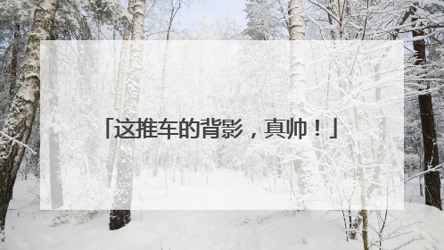 这推车的背影，真帅！