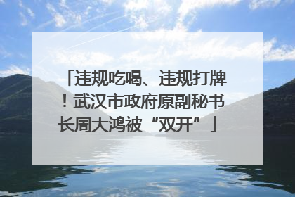 违规吃喝、违规打牌！武汉市政府原副秘书长周大鸿被“双开”