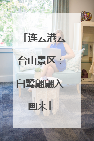 连云港云台山景区：白鹭翩翩入画来