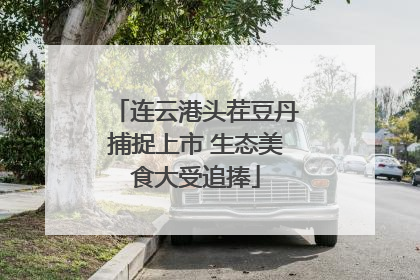 连云港头茬豆丹捕捉上市 生态美食大受追捧