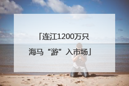 连江1200万只海马“游”入市场