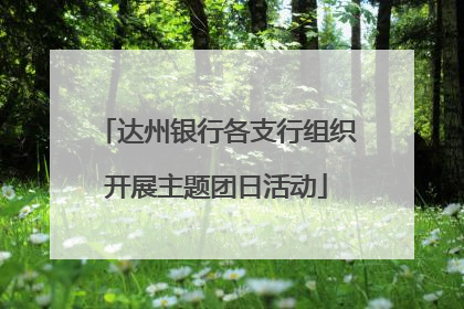 达州银行各支行组织开展主题团日活动