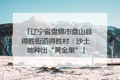 辽宁省盘锦市盘山县得胜街道得胜村：沙土地种出“黄金果”