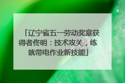 辽宁省五一劳动奖章获得者佟明：技术攻关，练就带电作业新技能