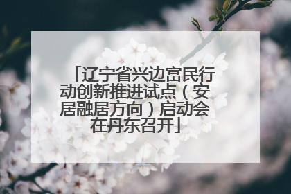 辽宁省兴边富民行动创新推进试点（安居融居方向）启动会在丹东召开