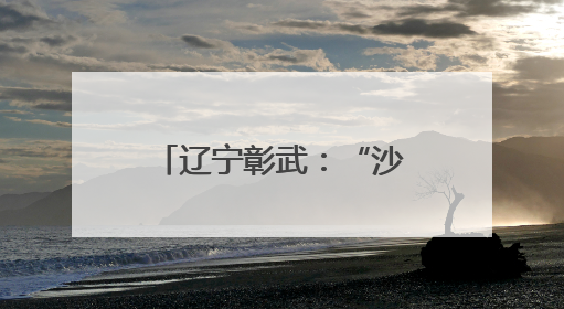 辽宁彰武：“沙窝子”焕新颜