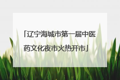 辽宁海城市第一届中医药文化夜市火热开市
