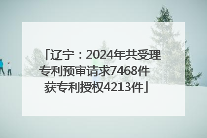 辽宁：2024年共受理专利预审请求7468件 获专利授权4213件