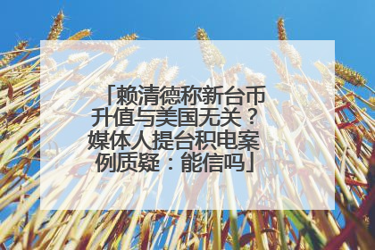 赖清德称新台币升值与美国无关？媒体人提台积电案例质疑：能信吗