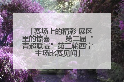 赛场上的精彩 展区里的惊喜——第二届“青超联赛”第三轮西宁主场比赛见闻