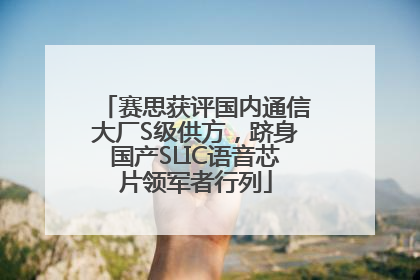 赛思获评国内通信大厂S级供方，跻身国产SLIC语音芯片领军者行列