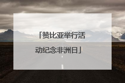 赞比亚举行活动纪念非洲日