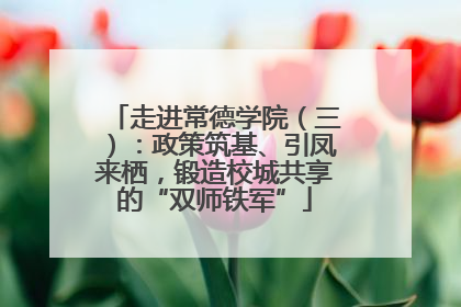 走进常德学院（三）：政策筑基、引凤来栖，锻造校城共享的“双师铁军”