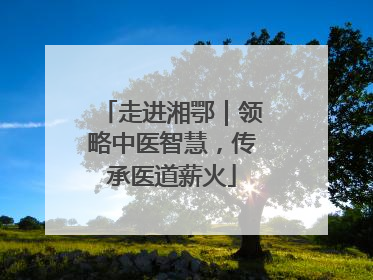 走进湘鄂｜领略中医智慧，传承医道薪火