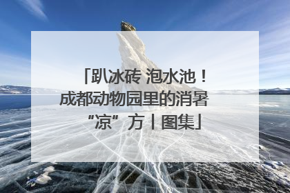 趴冰砖 泡水池！成都动物园里的消暑“凉”方丨图集