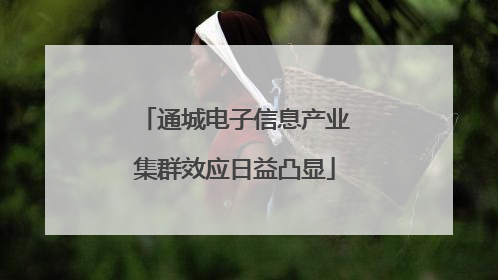 通城电子信息产业集群效应日益凸显