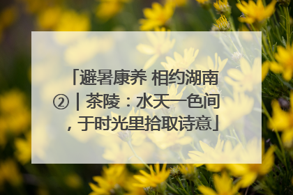 避暑康养 相约湖南②｜茶陵：水天一色间，于时光里拾取诗意