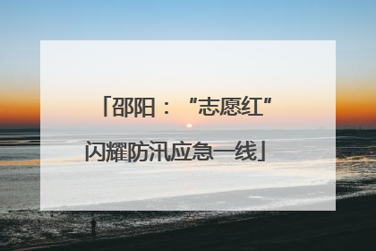 邵阳：“志愿红”闪耀防汛应急一线