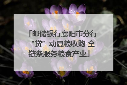邮储银行襄阳市分行“贷”动夏粮收购 全链条服务粮食产业