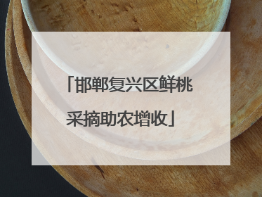 邯郸复兴区鲜桃采摘助农增收