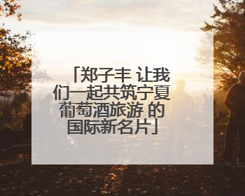 郑子丰 让我们一起共筑宁夏葡萄酒旅游 的国际新名片