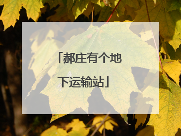 郝庄有个地下运输站