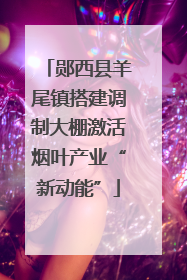 郧西县羊尾镇搭建调制大棚激活烟叶产业“新动能”