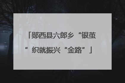 郧西县六郎乡“银茧”织就振兴“金路”