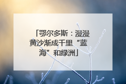 鄂尔多斯：漫漫黄沙渐成千里“蓝海”和绿洲