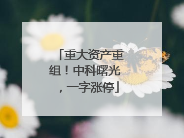 重大资产重组！中科曙光，一字涨停