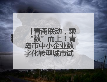 青甬联动，乘“数”而上！青岛市中小企业数字化转型城市试点产业对接活动在宁波开班
