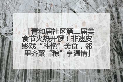 青和居社区第二届美食节火热开锣！非遗皮影戏“斗艳”美食，邻里齐聚“粽”享温情