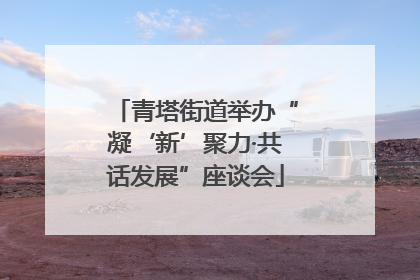 青塔街道举办“凝‘新’聚力·共话发展”座谈会