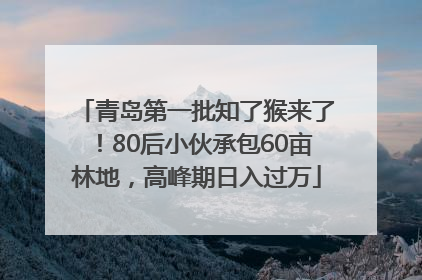 青岛第一批知了猴来了！80后小伙承包60亩林地，高峰期日入过万