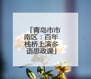 青岛市市南区：百年栈桥上演多语思政课