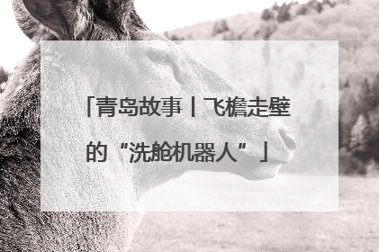 青岛故事丨飞檐走壁的“洗舱机器人”