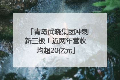 青岛武晓集团冲刺新三板！近两年营收均超20亿元