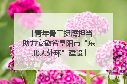青年骨干挺膺担当 助力安徽省阜阳市“东北大外环”建设