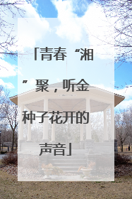 青春“湘”聚，听金种子花开的声音